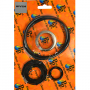 EcoNeptune 50mm MPV Spring Kit suits