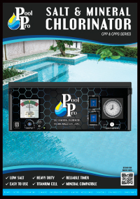 FLYER-CPPS